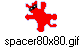 spacer80x80.gif