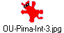 OU-Pirna-Int-3.jpg